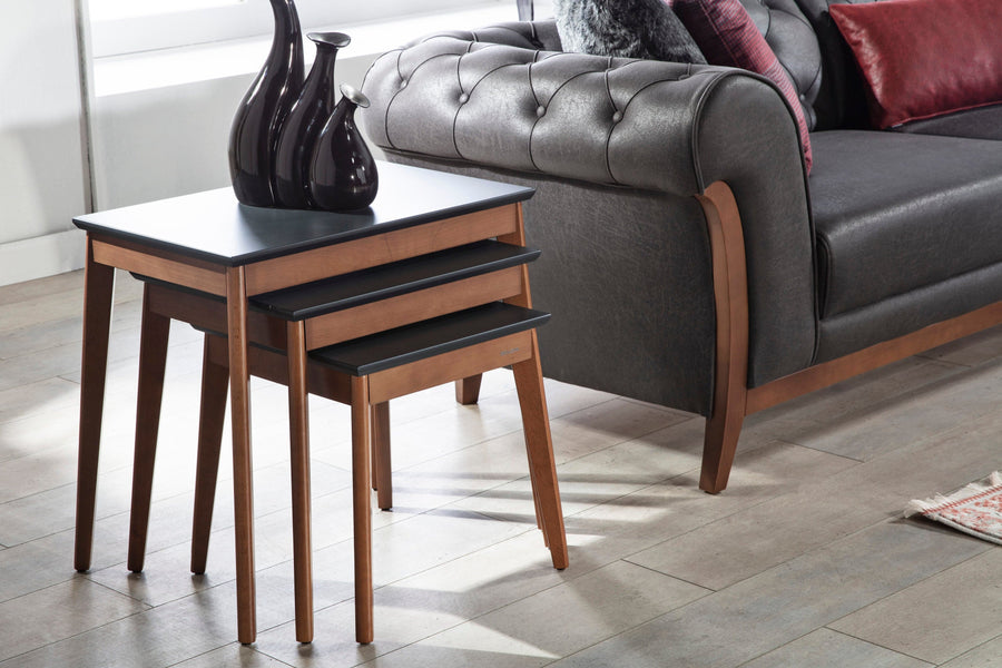 Elegant modern Alegro nesting coffee table in minimalist style.