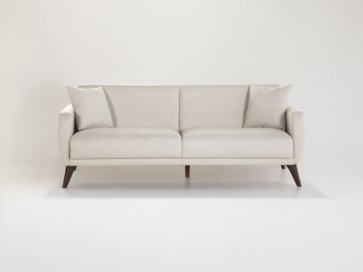 Modern Sleeper Sofa In A Box with Built-in Storage, Performance Fabric