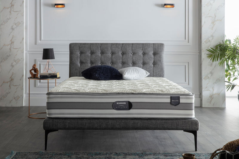 Platform Bed vs Box Spring Support Bellona USA