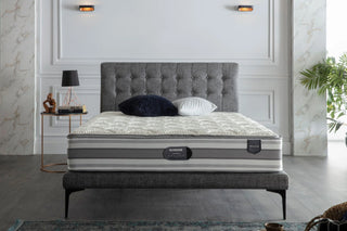 Platform Bed vs Box Spring Support Bellona USA