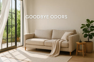 How to Eliminate Bad Odors at Home: Solutions for Smells That Linger in Furniture Bellona USA
