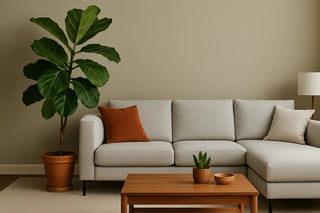 Decorating with Houseplants: Which Plants Pair Well with Which Furniture? Bellona USA