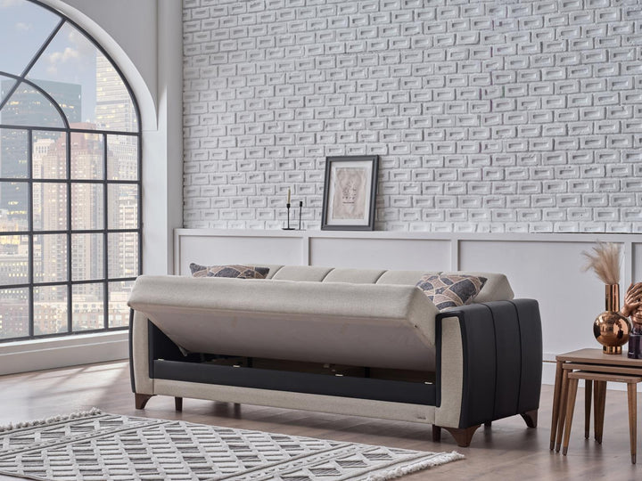 Contemporary Charm: Dublin Sleeper Sofa - Two-Tone Design