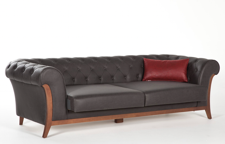 Stylish and versatile Alegro sleeper sofa details.