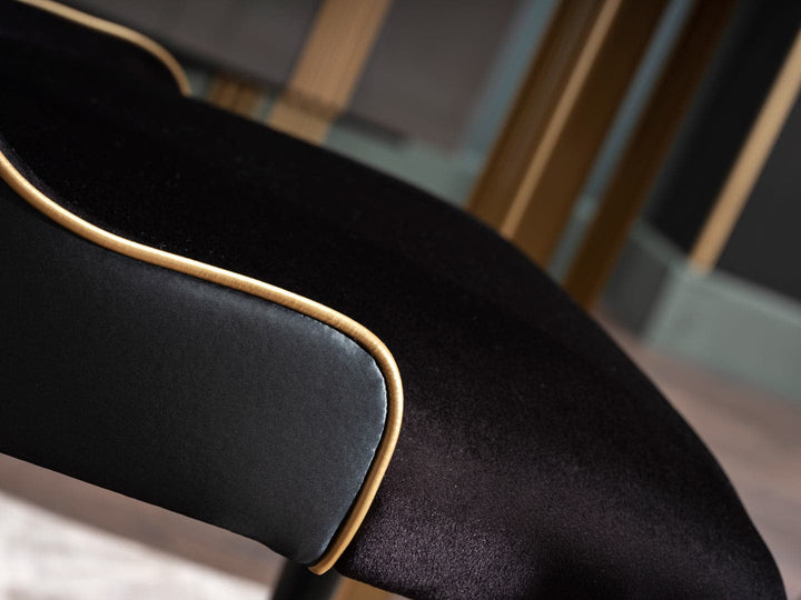 Premium Carlino Dining Chair Design