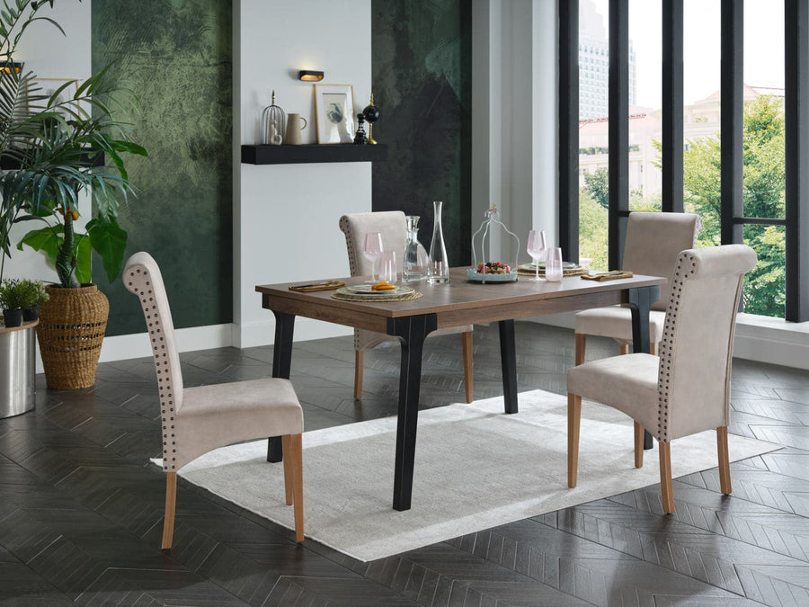 Margo Dining Chair: Chic, contemporary design with velvety upholstery and nailhead details