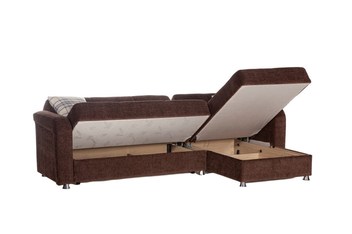 Vision Sectional